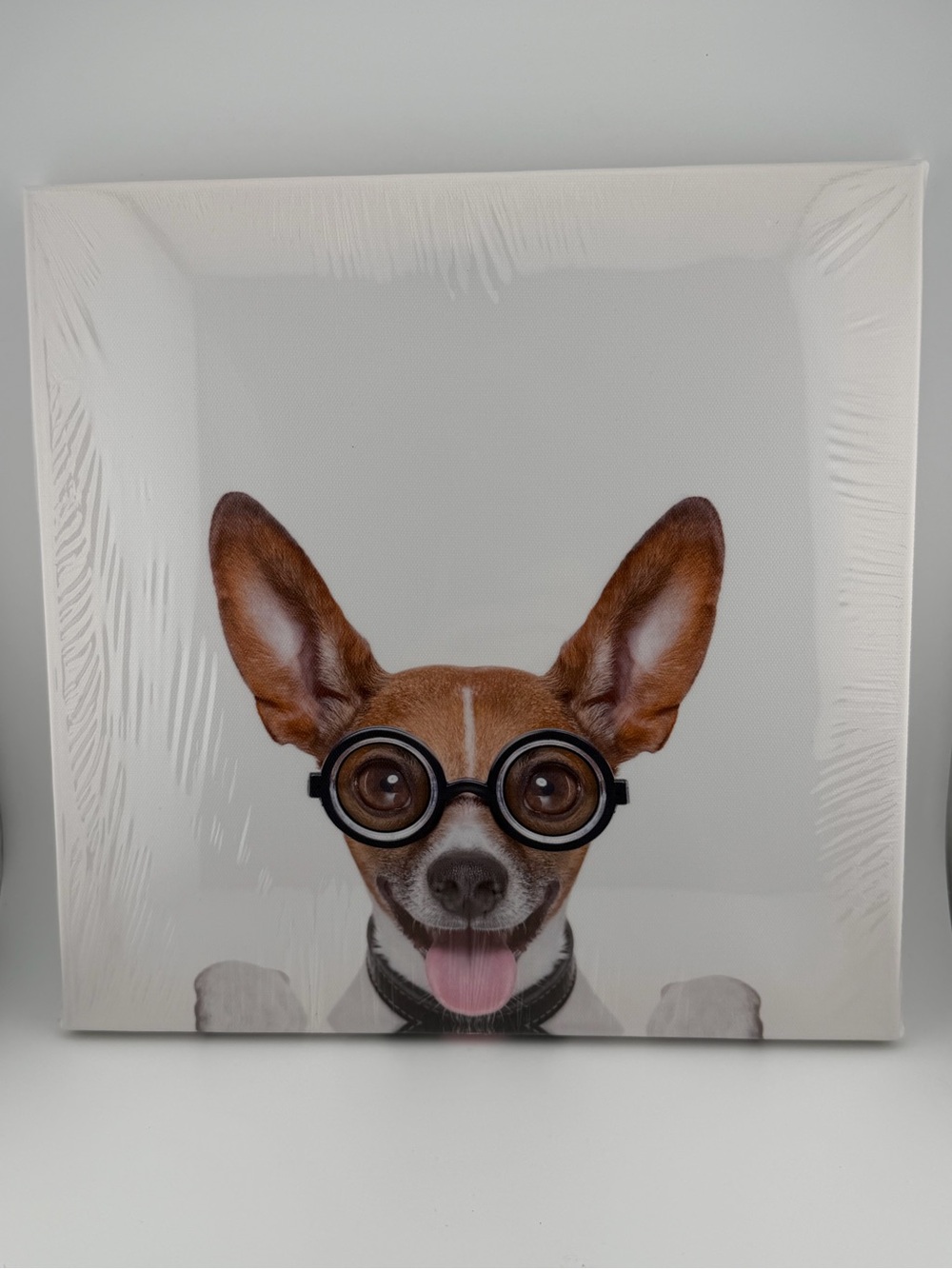 Playful Brown Dog with Glasses Canvas Wall Art